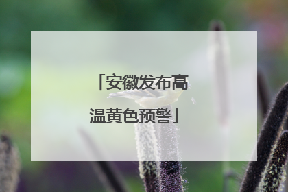 安徽发布高温黄色预警