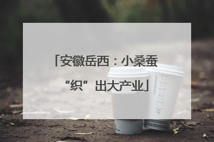 安徽岳西：小桑蚕“织”出大产业