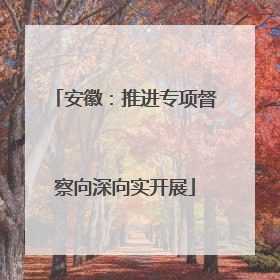 安徽：推进专项督察向深向实开展