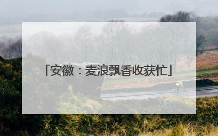 安徽：麦浪飘香收获忙