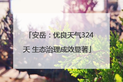 安岳：优良天气324天 生态治理成效显著