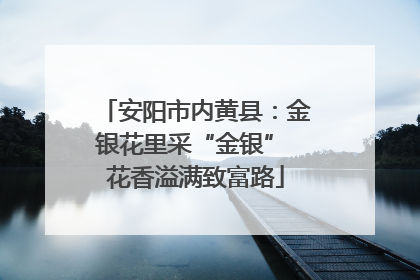 安阳市内黄县：金银花里采“金银” 花香溢满致富路