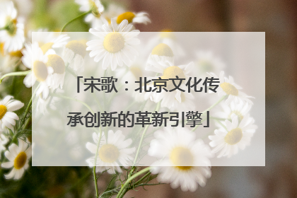 宋歌：北京文化传承创新的革新引擎