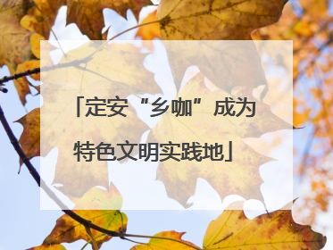 定安“乡咖”成为特色文明实践地