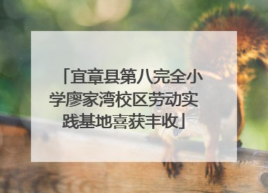 宜章县第八完全小学廖家湾校区劳动实践基地喜获丰收