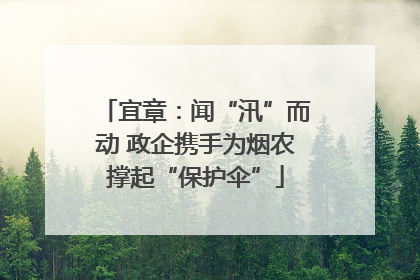 宜章：闻“汛”而动 政企携手为烟农撑起“保护伞”
