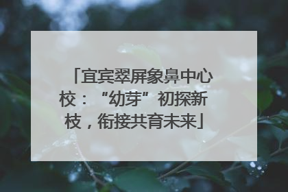 宜宾翠屏象鼻中心校：“幼芽”初探新枝，衔接共育未来