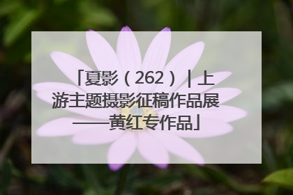 夏影（262）｜上游主题摄影征稿作品展——黄红专作品
