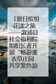 夏日缤纷·花漾之旅——溆浦县社会福利院组织长者开展“畅游薰衣草庄园 共享紫色浪漫”户外活动