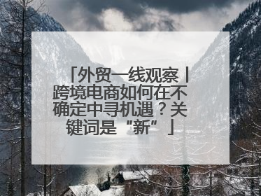 外贸一线观察丨跨境电商如何在不确定中寻机遇？关键词是“新”