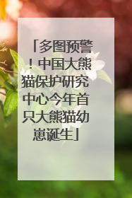 多图预警！中国大熊猫保护研究中心今年首只大熊猫幼崽诞生
