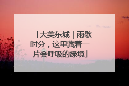 大美东城｜雨歇时分，这里藏着一片会呼吸的绿境