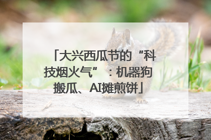 大兴西瓜节的“科技烟火气”：机器狗搬瓜、AI摊煎饼