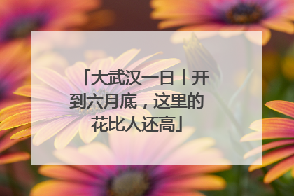 大武汉一日︱开到六月底，这里的花比人还高
