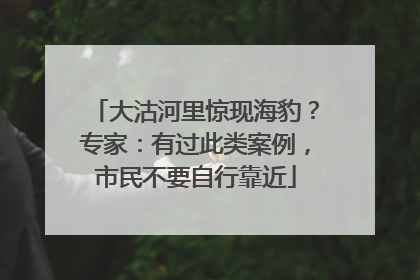 大沽河里惊现海豹？专家：有过此类案例，市民不要自行靠近