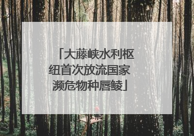 大藤峡水利枢纽首次放流国家濒危物种唇鲮