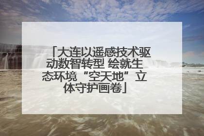 大连以遥感技术驱动数智转型 绘就生态环境“空天地”立体守护画卷