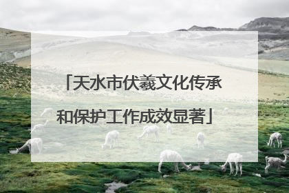 天水市伏羲文化传承和保护工作成效显著