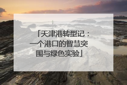 天津港转型记：一个港口的智慧突围与绿色实验