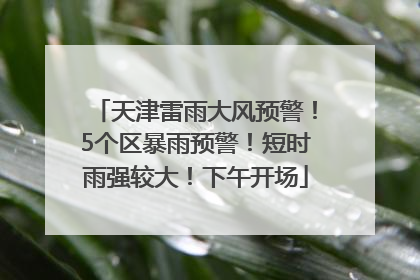 天津雷雨大风预警！5个区暴雨预警！短时雨强较大！下午开场