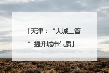 天津：“大城三管”提升城市气质