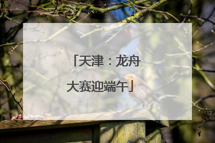 天津：龙舟大赛迎端午