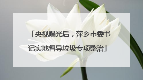 央视曝光后，萍乡市委书记实地督导垃圾专项整治