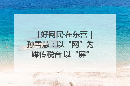 好网民·在东营｜孙雪慧：以“网”为媒传税音 以“屏”为介助发展