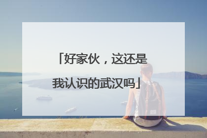 好家伙，这还是我认识的武汉吗