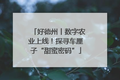 好德州丨数字农业上线！探寻车厘子“甜蜜密码”