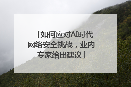 如何应对AI时代网络安全挑战，业内专家给出建议
