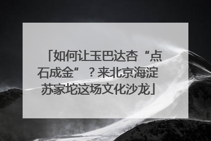 如何让玉巴达杏“点石成金”？来北京海淀苏家坨这场文化沙龙