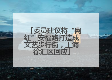 委员建议将“网红”安福路打造成文艺步行街，上海徐汇区回应