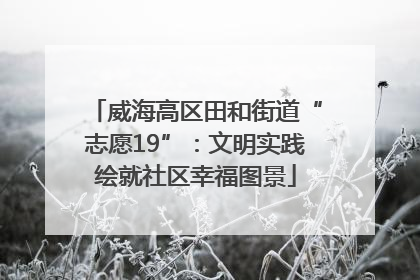 威海高区田和街道“志愿19”：文明实践绘就社区幸福图景