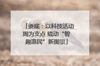 娄底：以科技活动周为支点 撬动“智趣惠民”新图景