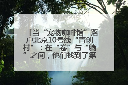 当“宠物咖啡馆”落户北京10号线“青创村”：在“卷”与“躺”之间，他们找到了第三种生活公式