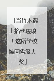 当竹木遇上掐丝珐琅！这所学校捧回省级大奖