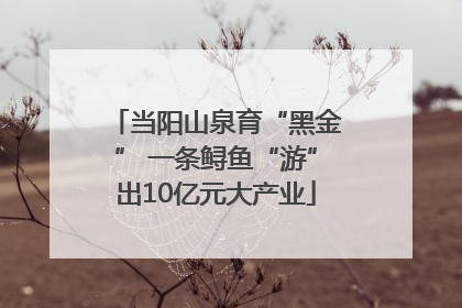 当阳山泉育“黑金” 一条鲟鱼“游”出10亿元大产业