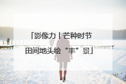 影像力丨芒种时节 田间地头绘“丰”景