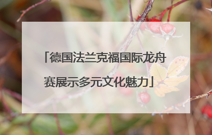 德国法兰克福国际龙舟赛展示多元文化魅力