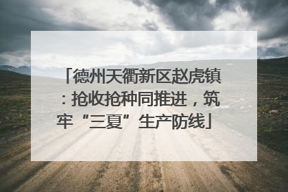 德州天衢新区赵虎镇：抢收抢种同推进，筑牢“三夏”生产防线