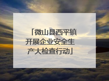 微山县西平镇开展企业安全生产大检查行动
