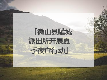 微山县驩城派出所开展夏季夜查行动