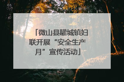 微山县驩城镇妇联开展“安全生产月”宣传活动