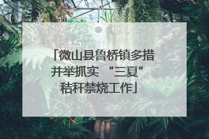 微山县鲁桥镇多措并举抓实 “三夏” 秸秆禁烧工作