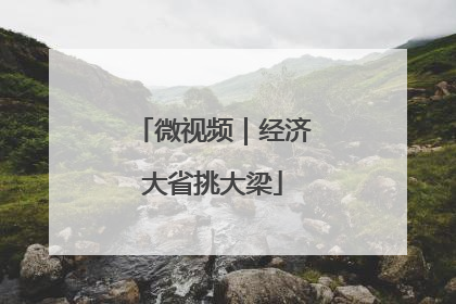 微视频｜经济大省挑大梁