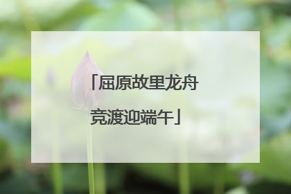 屈原故里龙舟竞渡迎端午