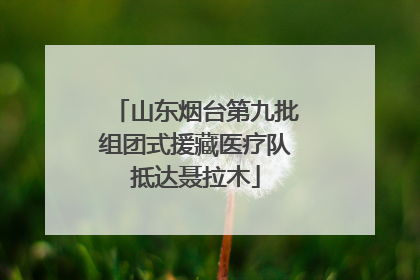山东烟台第九批组团式援藏医疗队抵达聂拉木