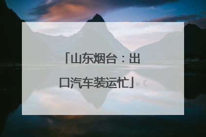 山东烟台：出口汽车装运忙