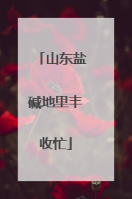 山东盐碱地里丰收忙
